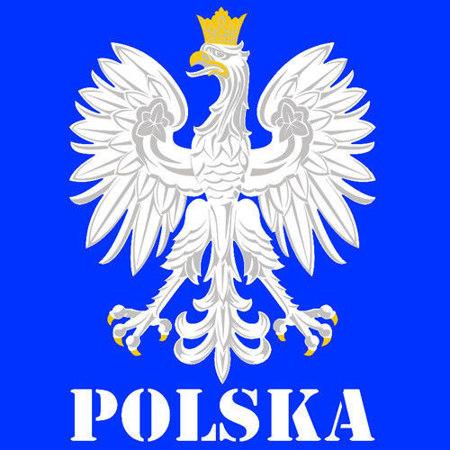 Bluza z kapturem Orzeł– Polska,niebieska